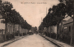 Aizenay : Avenue De Verdun - Aizenay