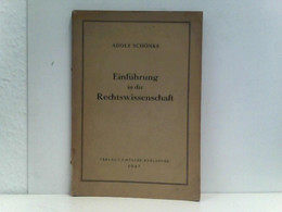 Einführung In Die Rechtswissenschaft - Diritto