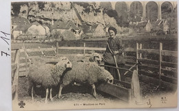 Cpa De 1904,Scène Du Centre, Moutons Au Parc Avec Bergère (Cachet Postal De GOURDON 46 Lot), éd MTIL Trèfle CC&CC - Gourdon