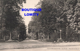 78 Maisons Laffitte La Foret Piste De La Muette - Maisons-Laffitte