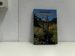 Zauberhafte Alpenblumen - Natura