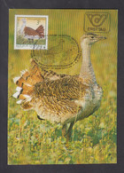 AUSTRIA, CARTE MAXIMUM - BIRDS-Otis Tarda + - Patrijzen, Kwartels