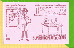 BUVARD & Blotting Paper : Vos Cultures Exigent Donc SUPERPHOSPHATE De CHAUX - Landwirtschaft