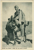 Mongolian Native Donkey Old Missionary Postcard China Chine Missie Van Mission De Scheut CPA Mongolia Mongolie Inner - Autres & Non Classés