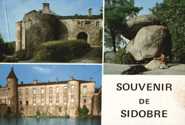 81 Chateau De Ferrières  Sidobre Brassac - Brassac