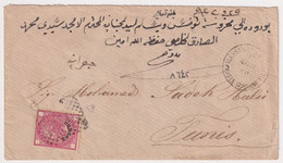 Levante 27 Ago 1875 40 C. Rosa Sass. 7 Su Busta Da Alessandria X Tunisi - Algemene Uitgaven