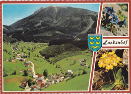 1968, Österreich, Lackenhof Am Ötscher, Niederösterreich - Scheibbs