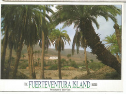 CANARIAS FUERTEVENTURA   ESCRITA - Fuerteventura