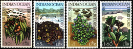 British Indian Ocean Territory 1975 Mi 78-81 Native Plants - Britisches Territorium Im Indischen Ozean