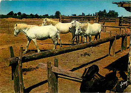 Animaux - Chevaux - Camargue - Ranch Camarguais - Flamme Postale - CPM - Voir Scans Recto-Verso - Pferde