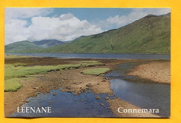 Irlande - Leenane - Connemara  Franked WWF  Stamp Pine Martens , - Galway