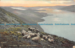 R116918 Loch Lomond. By Loch Lomonds Braes. Tuck. 1909 - Welt