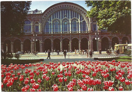 M3764 Torino - Stazione Di Porta Nuova - Fiori Fleurs Flowers / Viaggiata 1956 - Stazione Porta Nuova