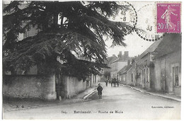 MARCHENOIR - Route De Blois - Marchenoir