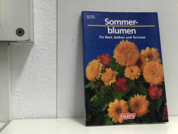 Sommerblumen Für Beet, Balkon Und Terrasse. - Natuur