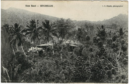 Sans Souci - SEYCHELLES - Vintage Unused Postcard - Seychelles