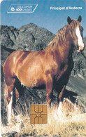 ANDORRA - Horse, Tirage 10000, 11/95, Used - Horses