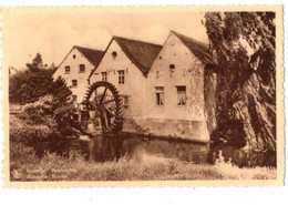 MAASEIK - Boschmolen - Verzonden 1938 - Maaseik