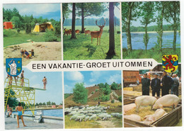 Een Vakantie-groet Uit Ommen - (Overijssel, Nederland) - Nr. L 369 - O.a. Zwembad Met Duikplank, Camping, Dieren - Ommen