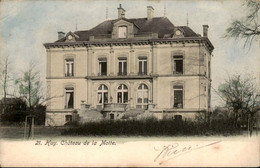 België - Huy Hoei - Chateau De La Motte - 1905 - Non Classés