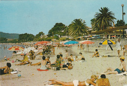 83   LES SABLETTES  SAINT-MANDRIER.   La Plage     TB PLAN 1966.  PAS COURANT - Saint-Mandrier-sur-Mer