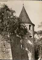 1063782 - Rundturm Schloss Laufen Sitzungszmmer - Laufen-Uhwiesen - Wiesen