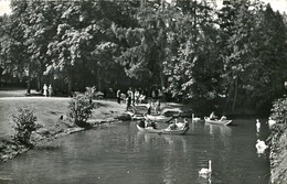 Luxembourg .n° 23983 . Mondorf Les Bains . Le Parc. Barques. Animé . Cpsm. - Mondorf-les-Bains