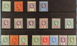 1903-12 KEVII MINT COLLECTION Presented On A Stock Card That Includes 1903 CA Wmk Set To 5s (SG 104/113), 1904-09 MCA Wm - Fiji (...-1970)