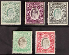 1904-07 1r Green, 2r Dull & Bright Purple, 3r Grey-green & Black, 4r Grey & Emerald-green And 5r Grey & Red KEVII All On - Vide