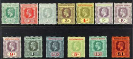 1912 Complete Set, SG 40/52, Very Fine Mint. (13 Stamps) For More Images, Please Visit Http://www.sandafayre.com/itemdet - Nigeria (...-1960)