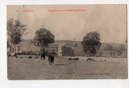 71 - LIERNEUX - Paysage Vers La Gare Du Vicinal *Edit. Wayaffe* - Lierneux