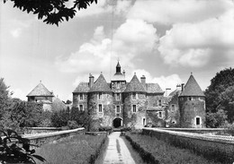 P-FL-M-22-767 : TREIGNY. CHATEAU DE RATILLY - Treigny