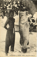 PC NIGER, UNE BELLE CAPTURE, Vintage Postcard (b33260) - Niger