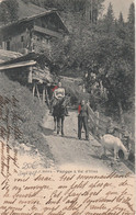 VAL D'ILLIEZ.  MONTHEY.  Paysage à Val D'Illiez          SUP  PLAN  1902      RARE - Monthey