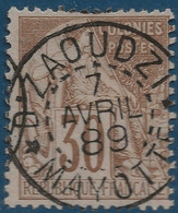 France Colonies Françaises Mayotte 1889 TP N°55 30c Brun Obl Dateur De DZAOUDZI / MAYOTTE Superbe - Usati