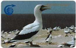 Ascension Island - C&W - GPT - 1CASB - Fairy Tern, 1990, 5.031ex, Used - Islas Ascensión