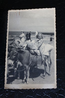 Delcampe - &-7 / Flandre Occidentale - Carte  A Située - Côte Belge Plage - Promenades à Dos D'âne Sur Le Littoral - De Haan