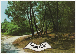 Ommen (Ov.) - (Overijssel, Nederland)  - Nr. L 3460 - Naaldbomen, Bospad - Ommen
