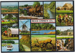 Mooi Ommen (Ov.) - (Overijssel, Nederland)  - Nr.OMN 22 - Huifkar, Natuur, Dieren, Centrum, Kasteel Etc. - Ommen