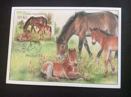 2021 Carte Maximum  Nature Réserve De Milovice  Poney Exmoor - Autres & Non Classés