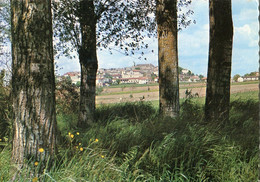 47.n° 24013 . Montflanquin . Vue Generale. Carte Postale Photo. Cpsm . - Monflanquin