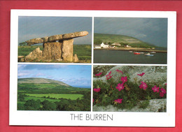 IRLANDE . IRELAND . " THE BURREN " - Réf. N°33085 - - Offaly