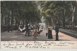 THE MALL - CENTRAL PARK - NEW YORK - 1905 - Central Park