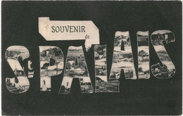 CPA-Carte Postale -France-  Saint Palais Souvenir De   Saint Palais 1905 VM43372+ - Saint Palais