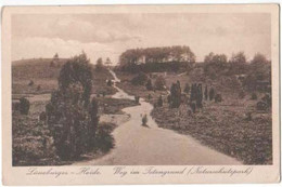 AK Schneverdingen Totengrund 1927 (Al05) - Schneverdingen