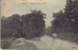 78 - Vélizy (Yvelines) - Entrée Du Bois De Vélizy - Velizy