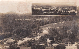 REAL PHOTO POSTCARD - BRASIL - BRAZIL - MINAS GERAIS -  CAMBUQUIRA - PARQUE E BOSQUE - Belo Horizonte