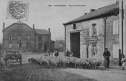 VENDRESSE - Rue Du Fourneau - Troupeau De Moutons - Other Municipalities
