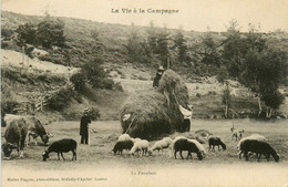 St Chély D'apcher * éditeur Marius Plagnes * La Fenaison * La Vie à La Campagne ! * Scène Agricole Foins Agriculture - Saint Chely D'Apcher