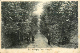 Aubigny * Allée Des Soupirs * Villageois - Aubigny Sur Nere